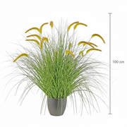 Aranjament Floral, 100cm, Iarbă curbată și Spice, Tip „coadă de vulpe”, Plastic, Verde