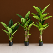 Decorațiune Alocasia, 3 tulpini, Plastic, 160 cm, Verde