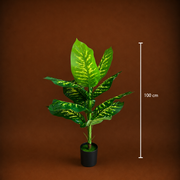 Decorațiune Dieffenbachia, Plastic, 100 cm, Verde