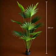 Decorațiune Palmier Livistona Evantai, 15 frunze, Plastic, 200 cm, Verde