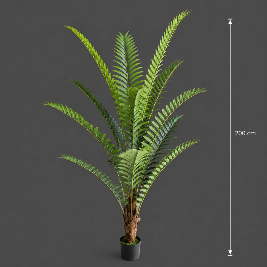 Decorațiune Roystonea Regia, 200 cm, 15 frunze, Verde