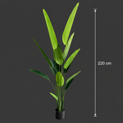 Decorațiune Strelitzia Nicolai, 220 cm, 13 frunze, Verde