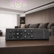 LT079_5 - REMOTE SHOW