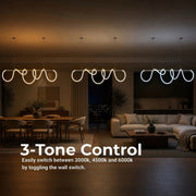 LT118_100GD — LT118_100GD - 4. 3-TONE CONTROL.jpg