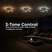 LT254_3BK — LT254_3BK - 4. 3-TONE CONTROL.jpg