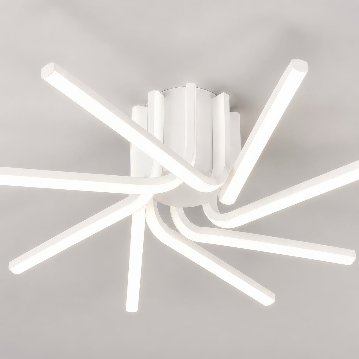 LT303_8WH - 8. DETAIL 1