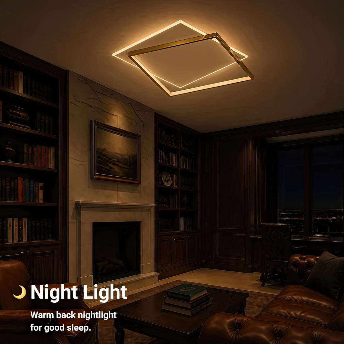 LT632_500P — LT632_500P - 5. NIGHT LIGHT.jpg