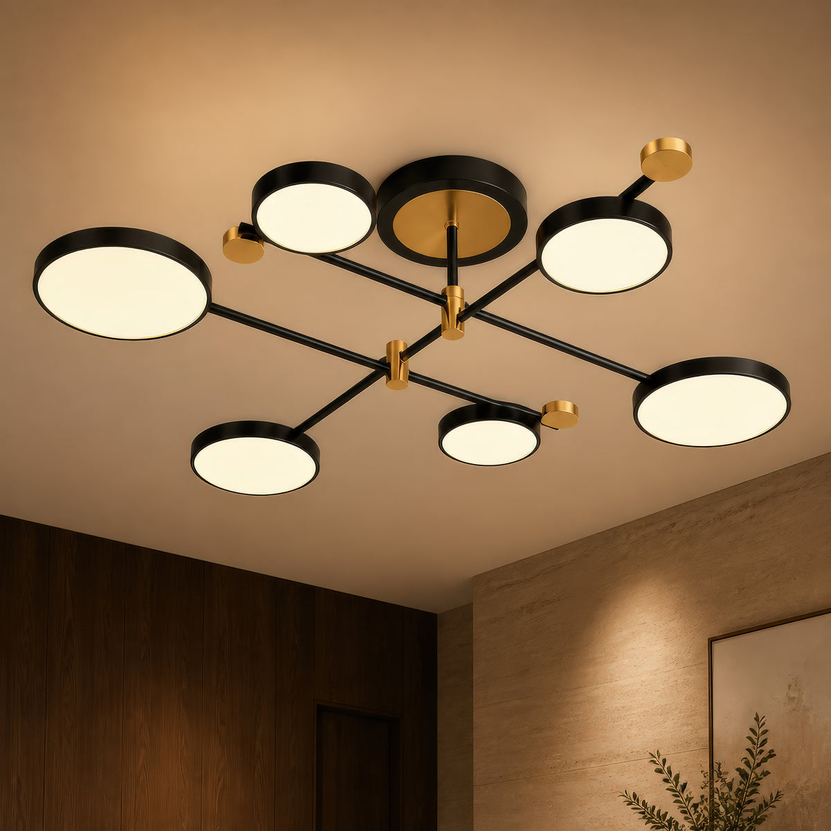LT721_6GD — LT721_6GD - 9. DETAIL 2.jpg