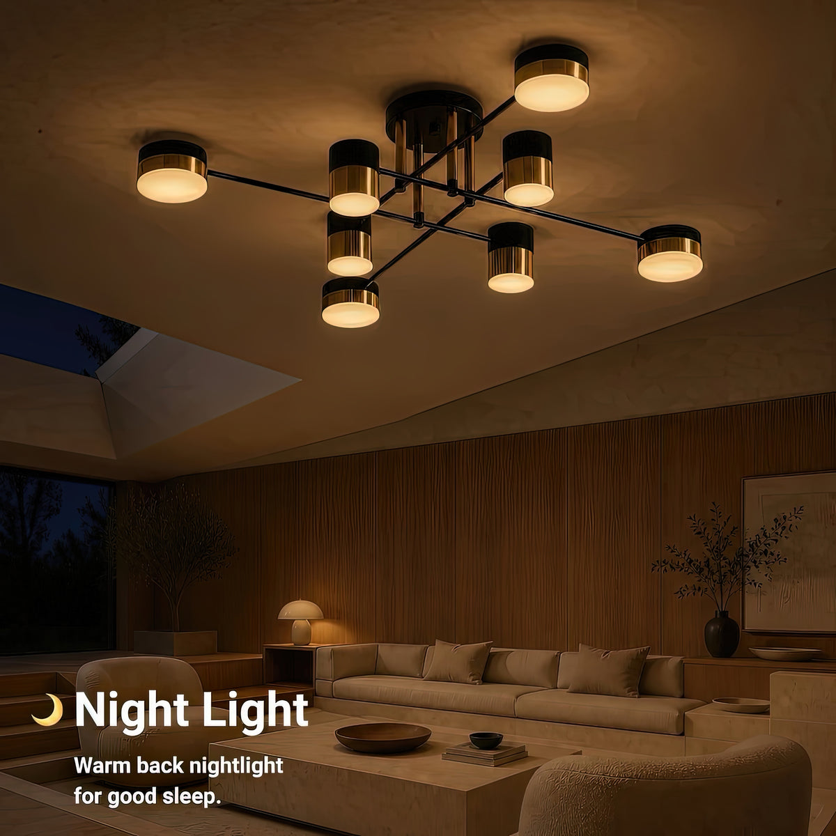 LT724_8 — LT724_8 - 5. NIGHT LIGHT.jpg