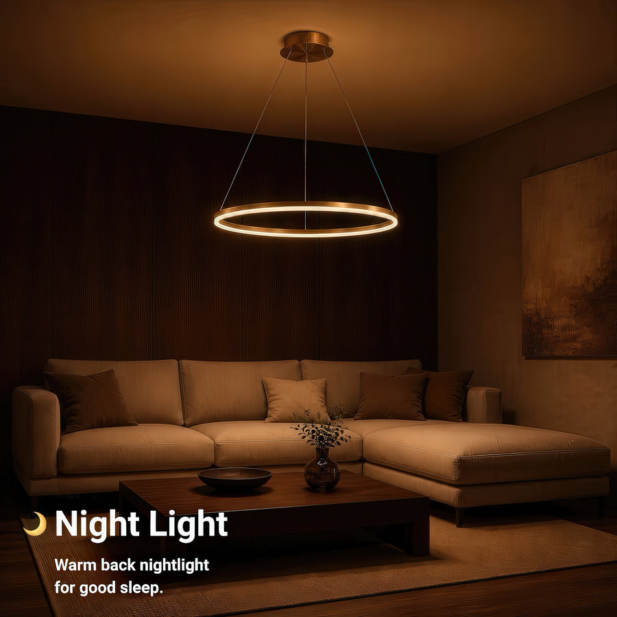 LT803_1GD — LT803_1GD - 5. NIGHT LIGHT.jpg