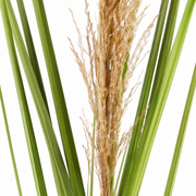 Műnövény díszfű, 110 cm, nád és fű, zöld és barna, cserép nélkül