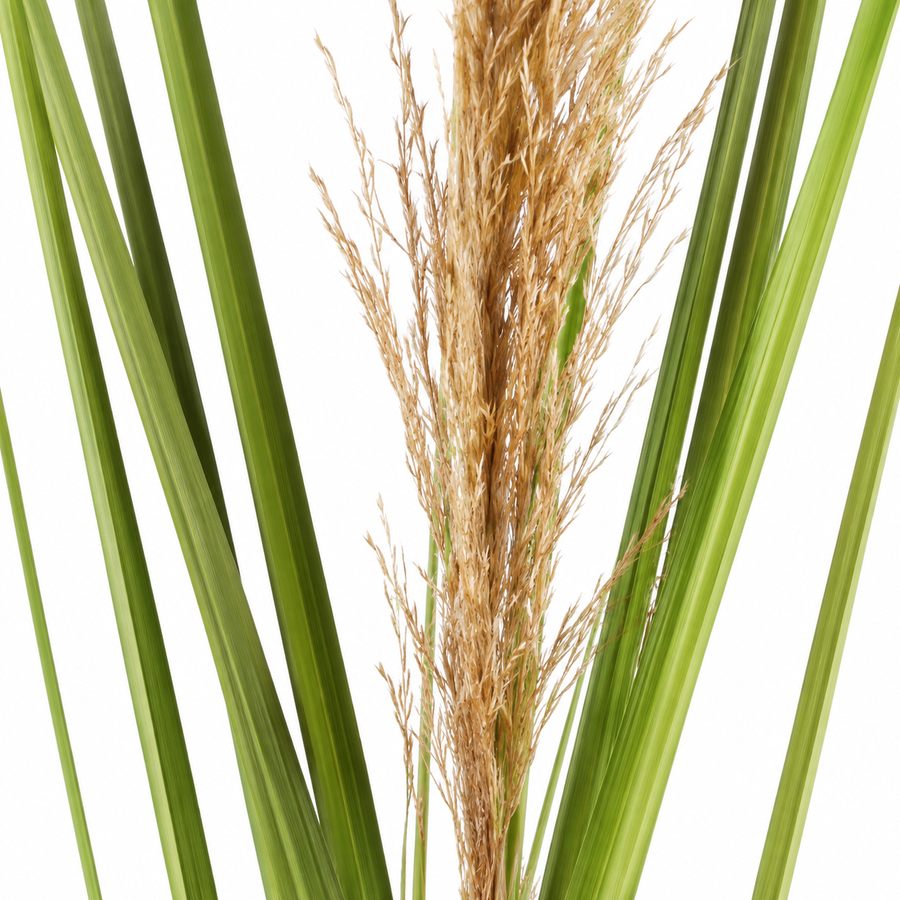 Műnövény díszfű, 110 cm, nád és fű, zöld és barna, cserép nélkül