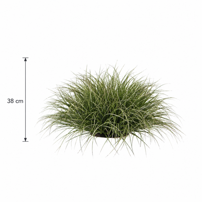 Tufă Artificială de Iarbă, 38 cm, Iarbă Tip Ceapă Curbată, Densitate Mare, Plastic, Verde Închis
