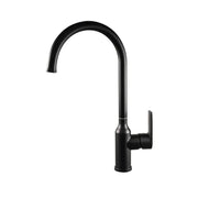 Washbasin akkumulátor, egészségügyi sárgaréz, fekete, ljs/225b