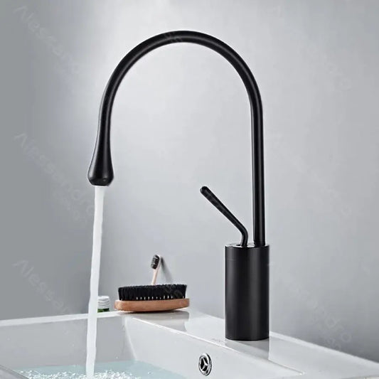 Washbasin akkumulátor, egészségügyi sárgaréz, fekete, wzy/327/b