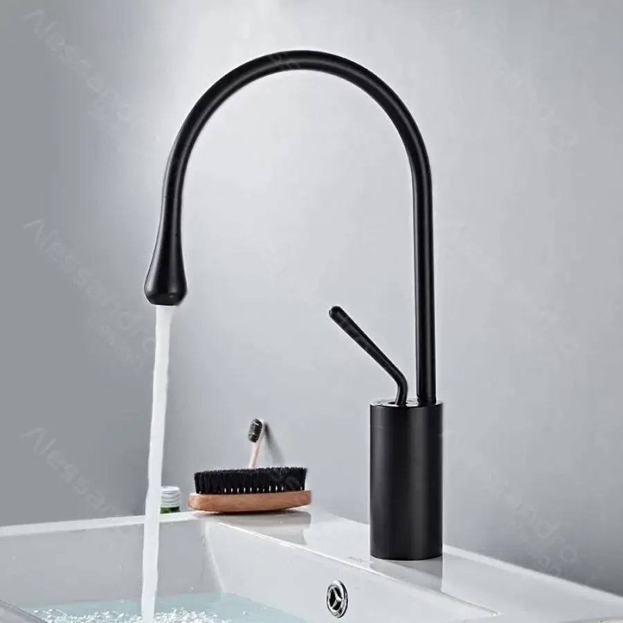 Washbasin akkumulátor, egészségügyi sárgaréz, fekete, wzy/327/b