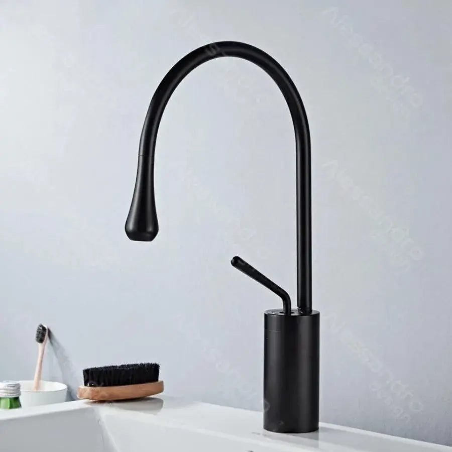 Washbasin akkumulátor, egészségügyi sárgaréz, fekete, wzy/327/b